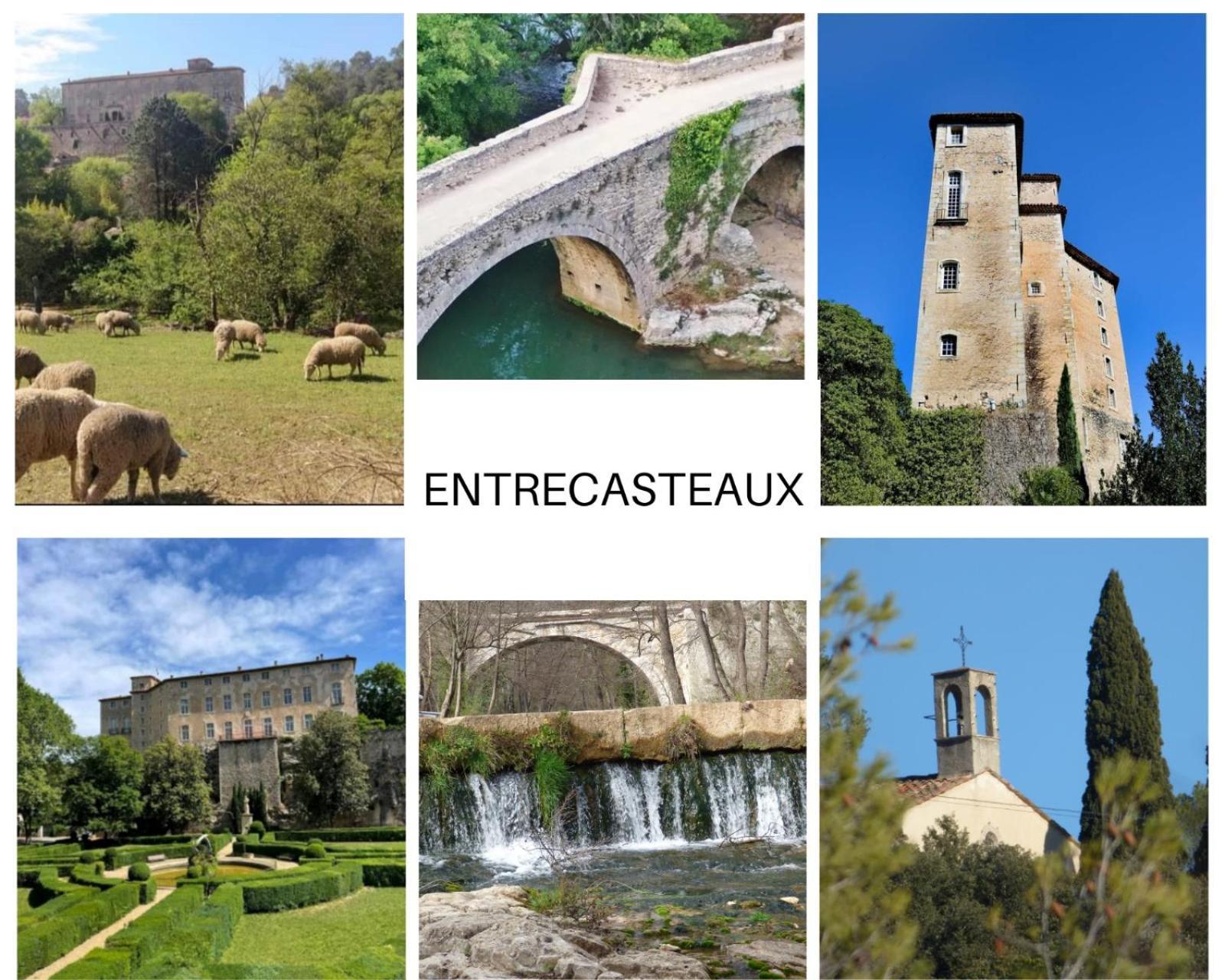 La Bergerie Des Colles Bed & Breakfast Entrecasteaux Eksteriør bilde