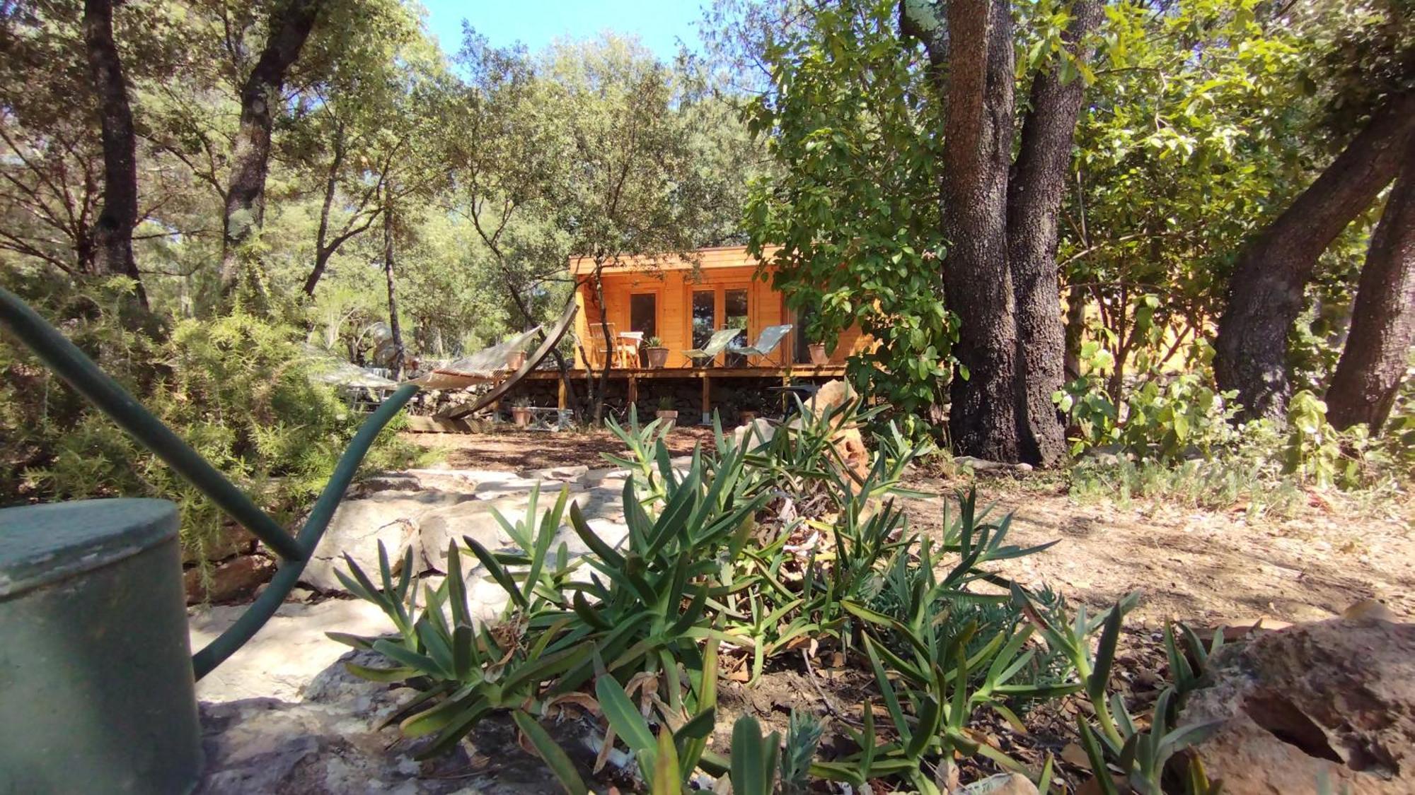 La Bergerie Des Colles Bed & Breakfast Entrecasteaux Eksteriør bilde