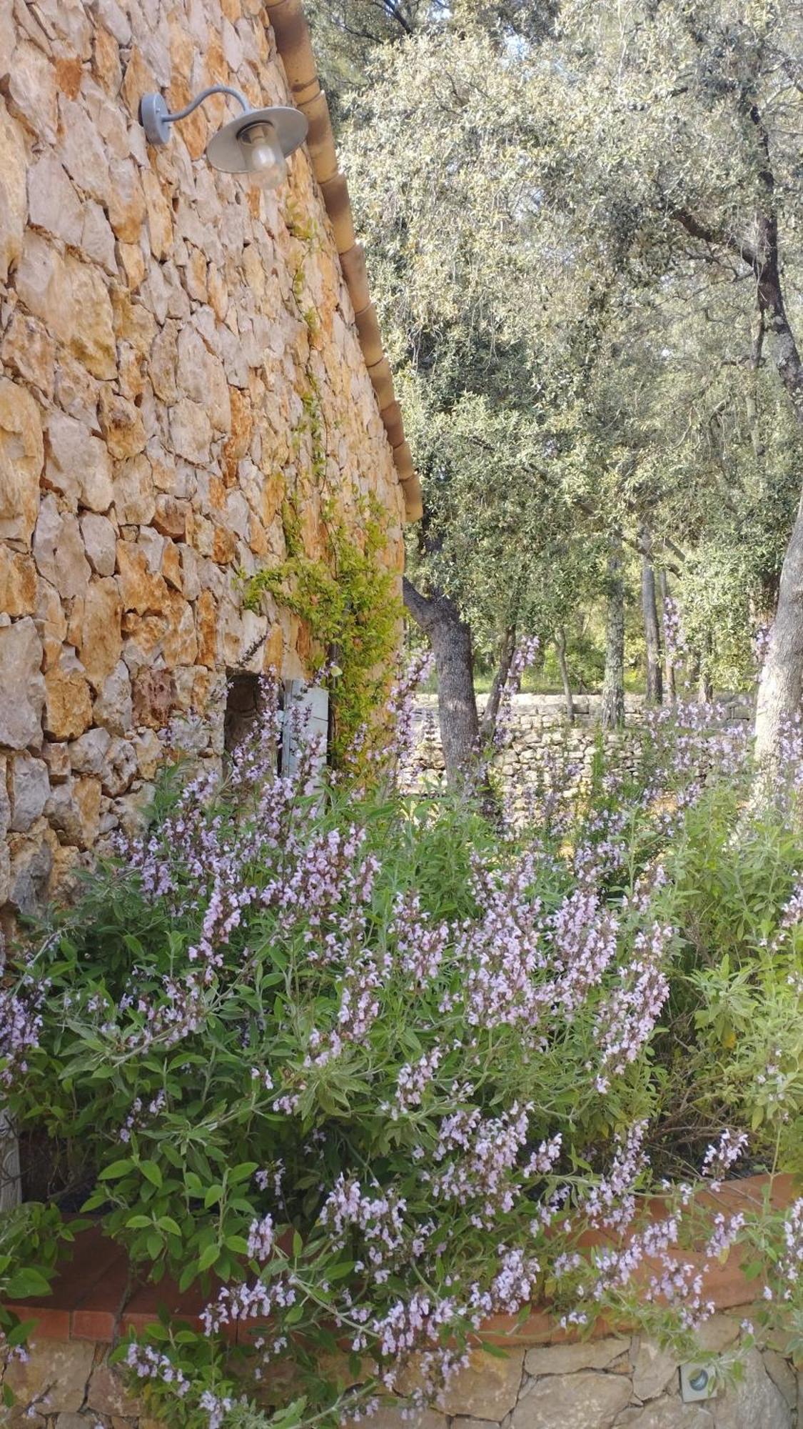 La Bergerie Des Colles Bed & Breakfast Entrecasteaux Eksteriør bilde